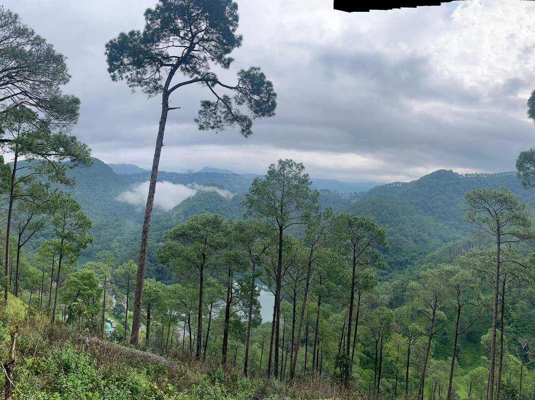 Sattal Forest Resort主图