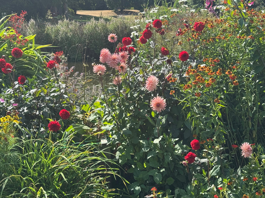 Forde Abbey & Gardens-Chard必去景点