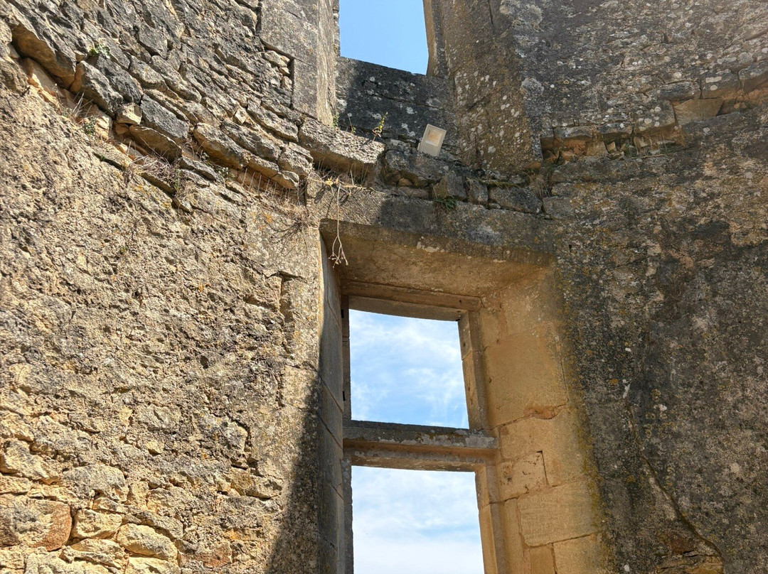 Château de Bonaguil-Saint-Front-sur-Lemance必去景点