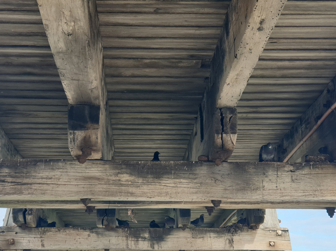 Port Hughes Jetty-Port Hughes必去景点