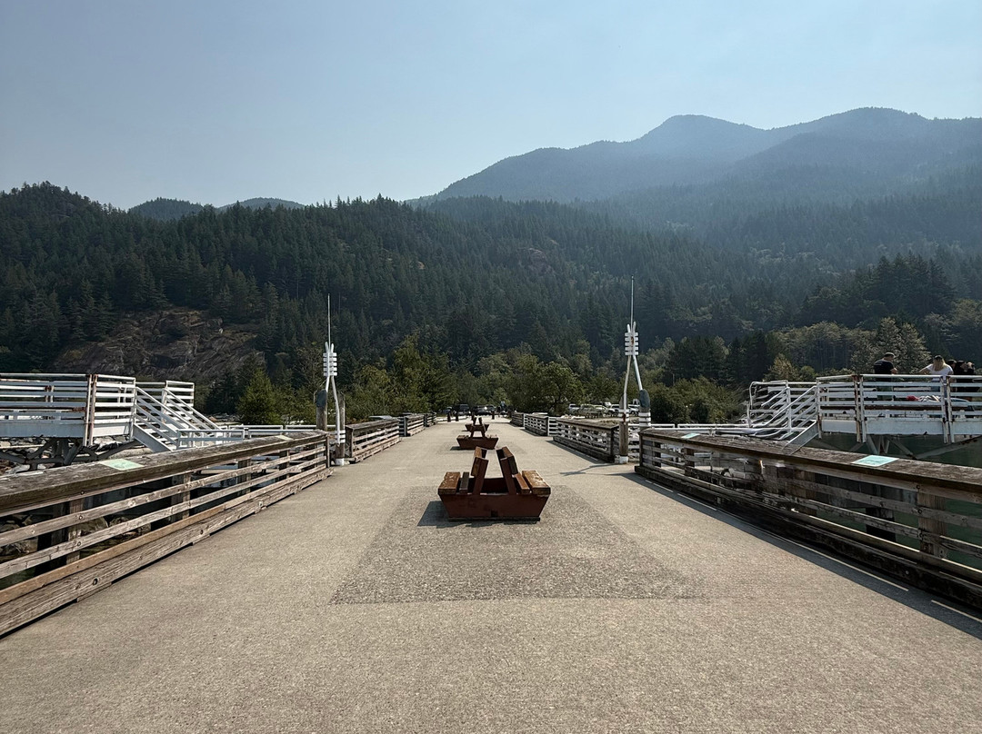 Porteau Cove Provincial Park-斯阔米什必去景点