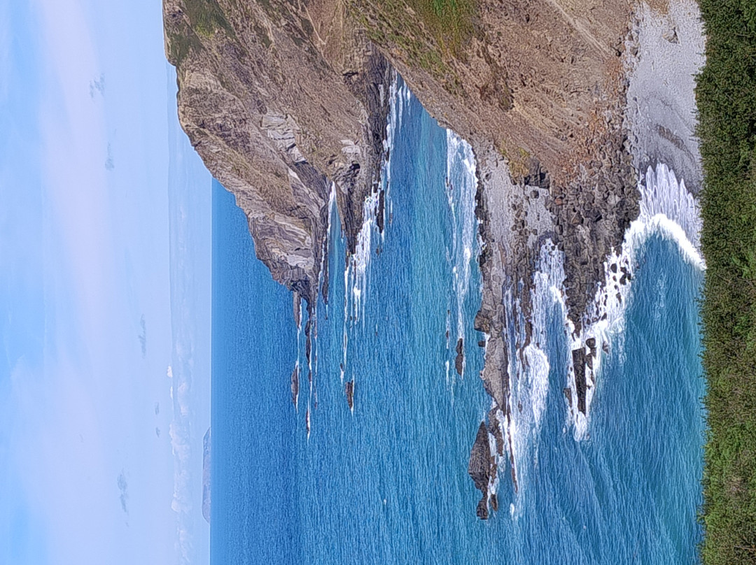 Marsland Nature Reserve, Devon