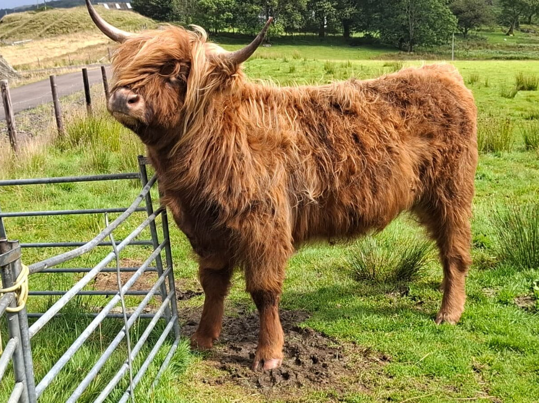 Isle of Kerrera-The Hebrides必去景点