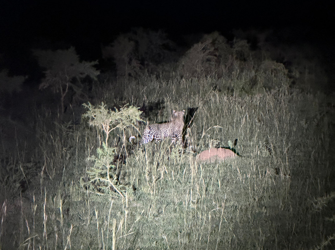 Murchison Falls-Murchison Falls National Park必去景点
