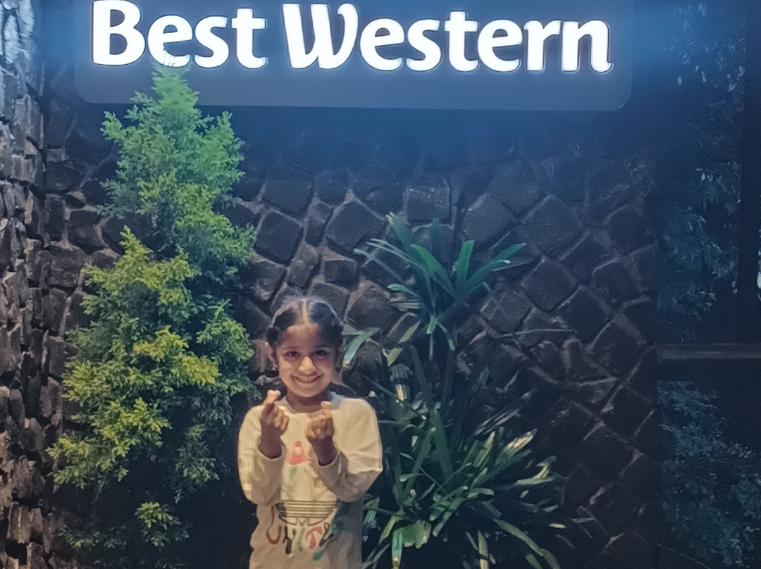 Best Western Dalhousie主图