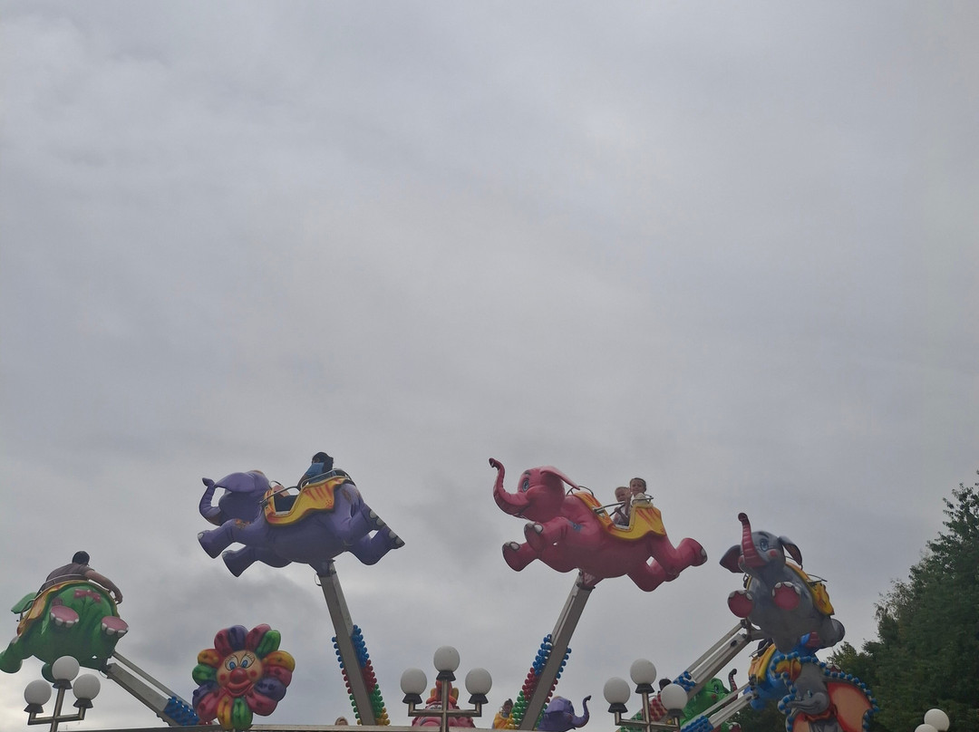 Lightwater Valley Family Adventure Park-North Stainley必去景点