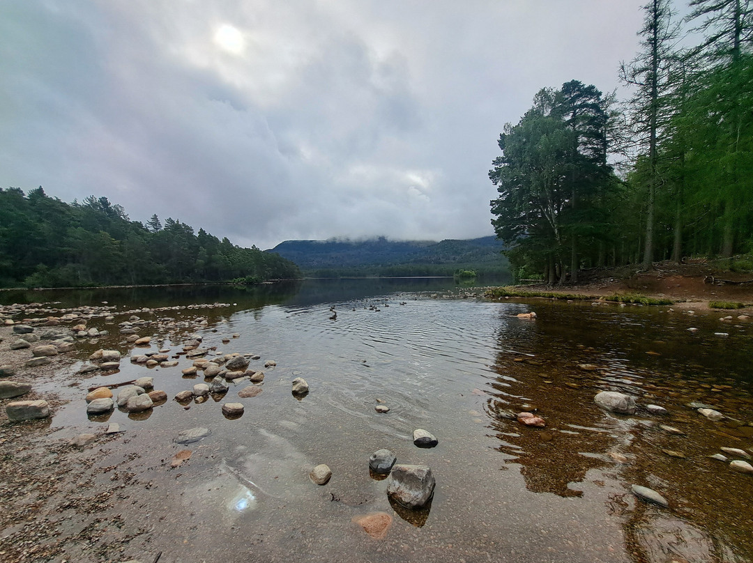 Loch an Eilein-阿维莫尔必去景点