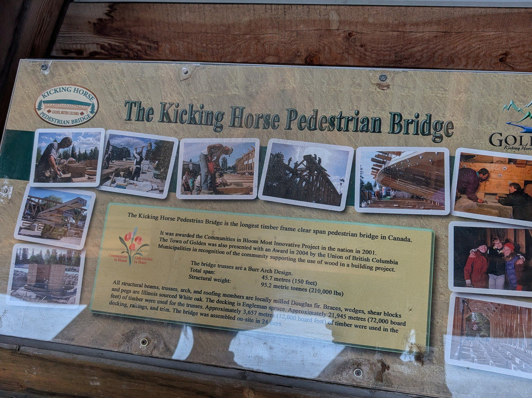 Kicking Horse Pedestrian Bridge-戈尔登必去景点