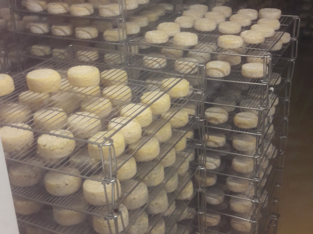 La Maison du Fromage - Vallee de Munster-Gunsbach必去景点