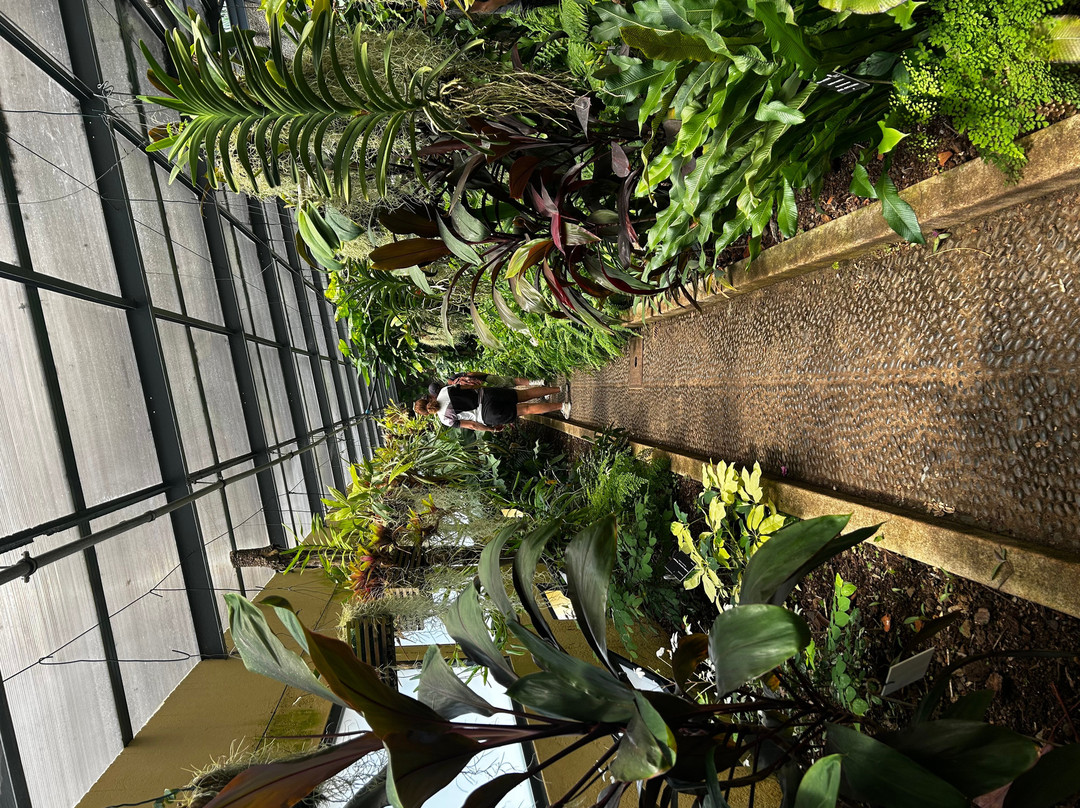 Madeira Botanical Garden-沙尔必去景点