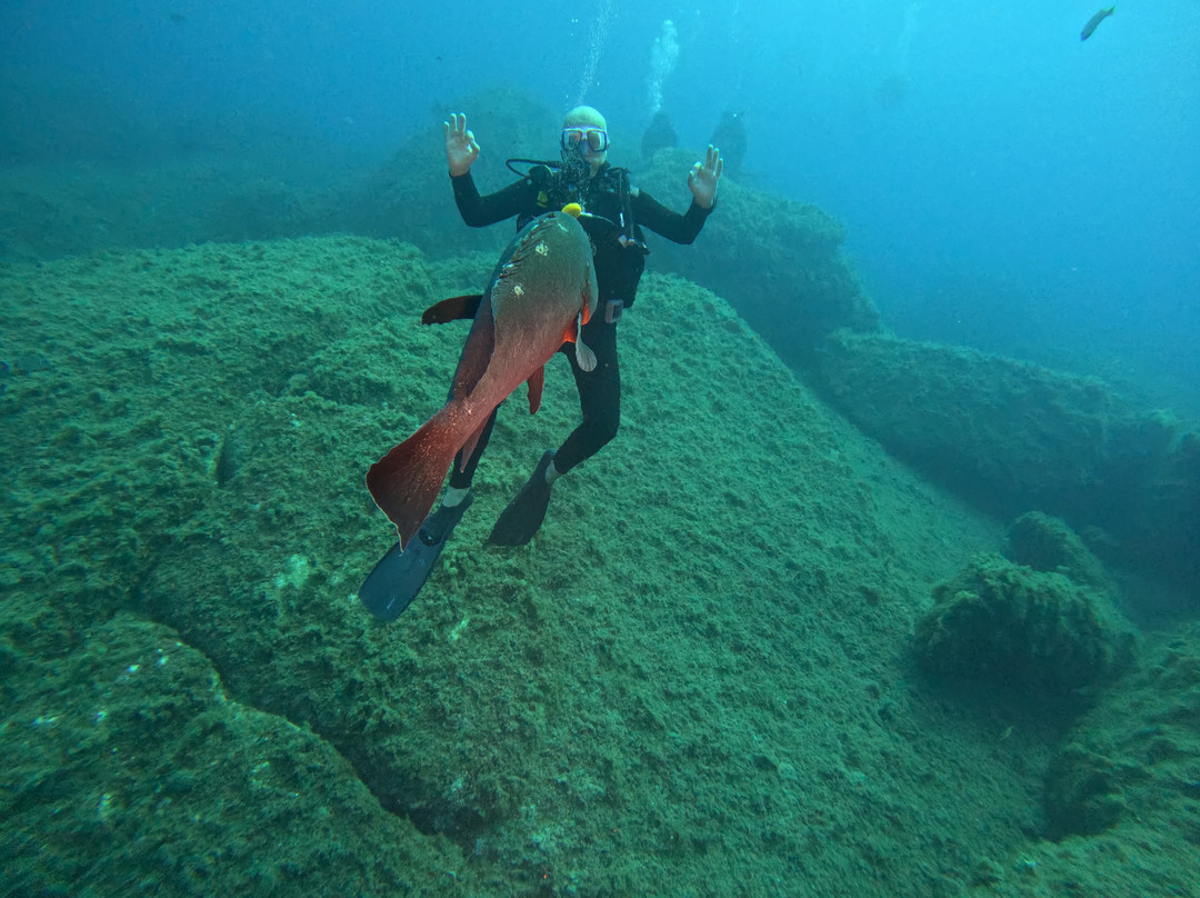 Blu Dive Center-圣特雷莎加卢拉必去景点
