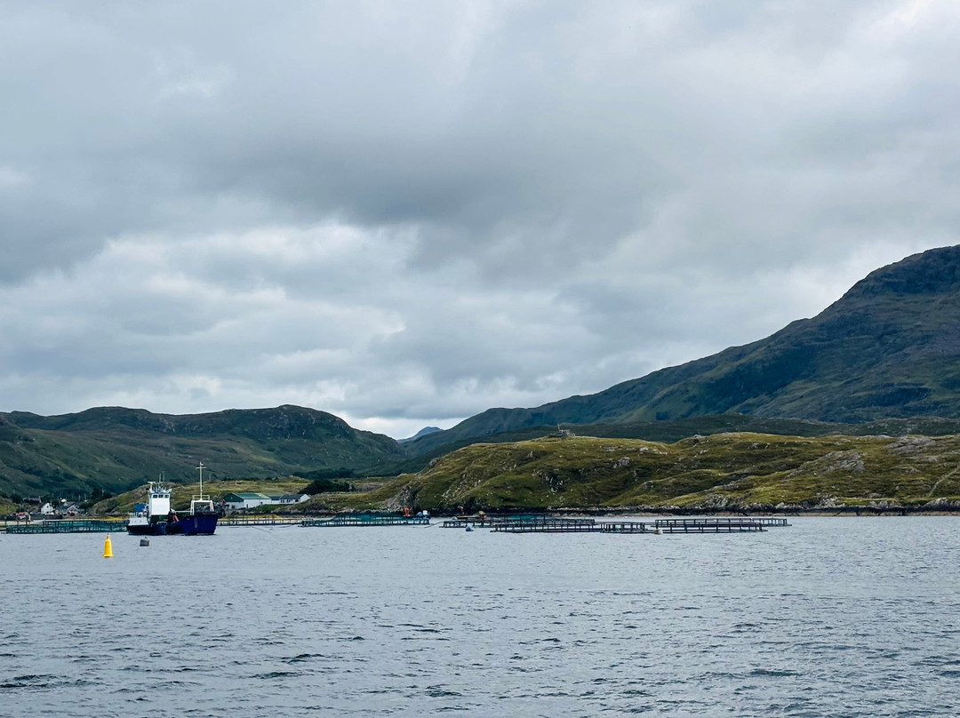 Killary Fjord Boat Tours-Leenane必去景点