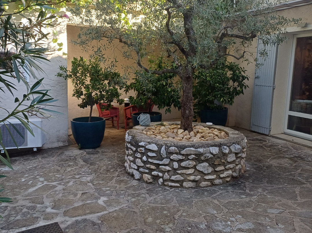 Logis Hôtel des Pins Rest. l'Esprit Jardin主图