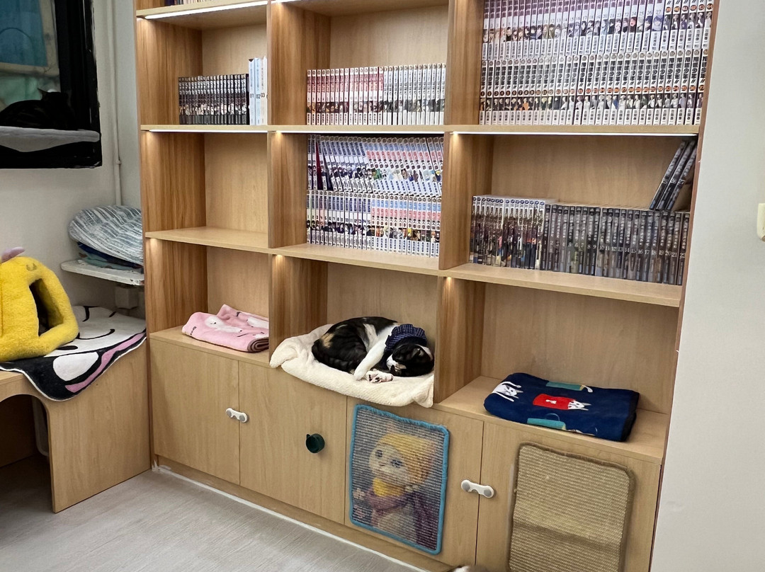 猫之茶房-香港必去景点