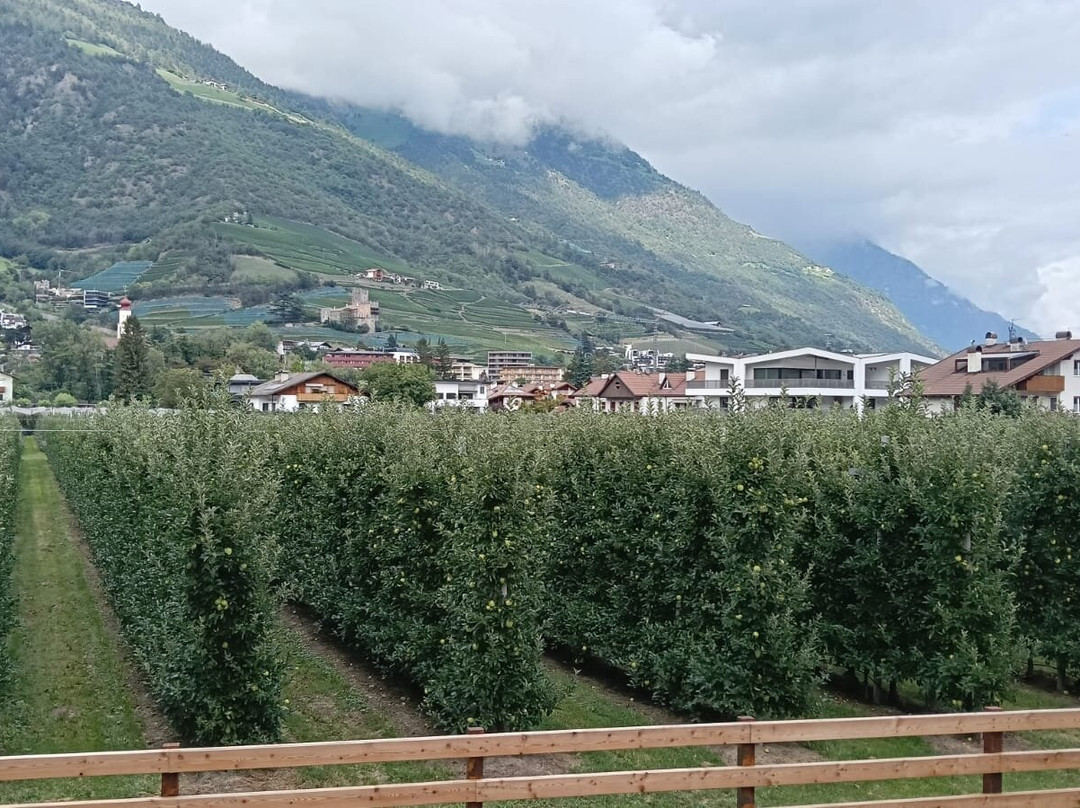 Pista Ciclabile della Val Venosta-Naturno必去景点