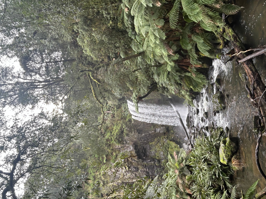 Hopetoun Falls-Beech Forest必去景点