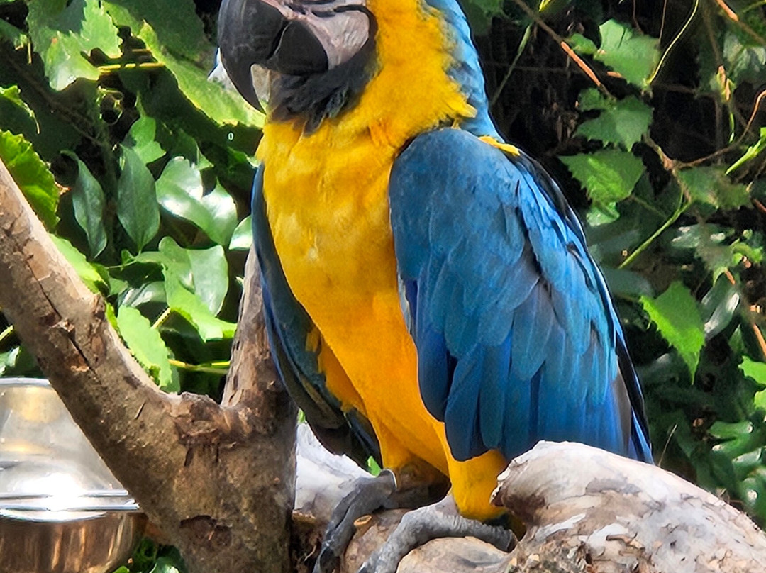 Georgia Untamed Zoo-Hogansville必去景点