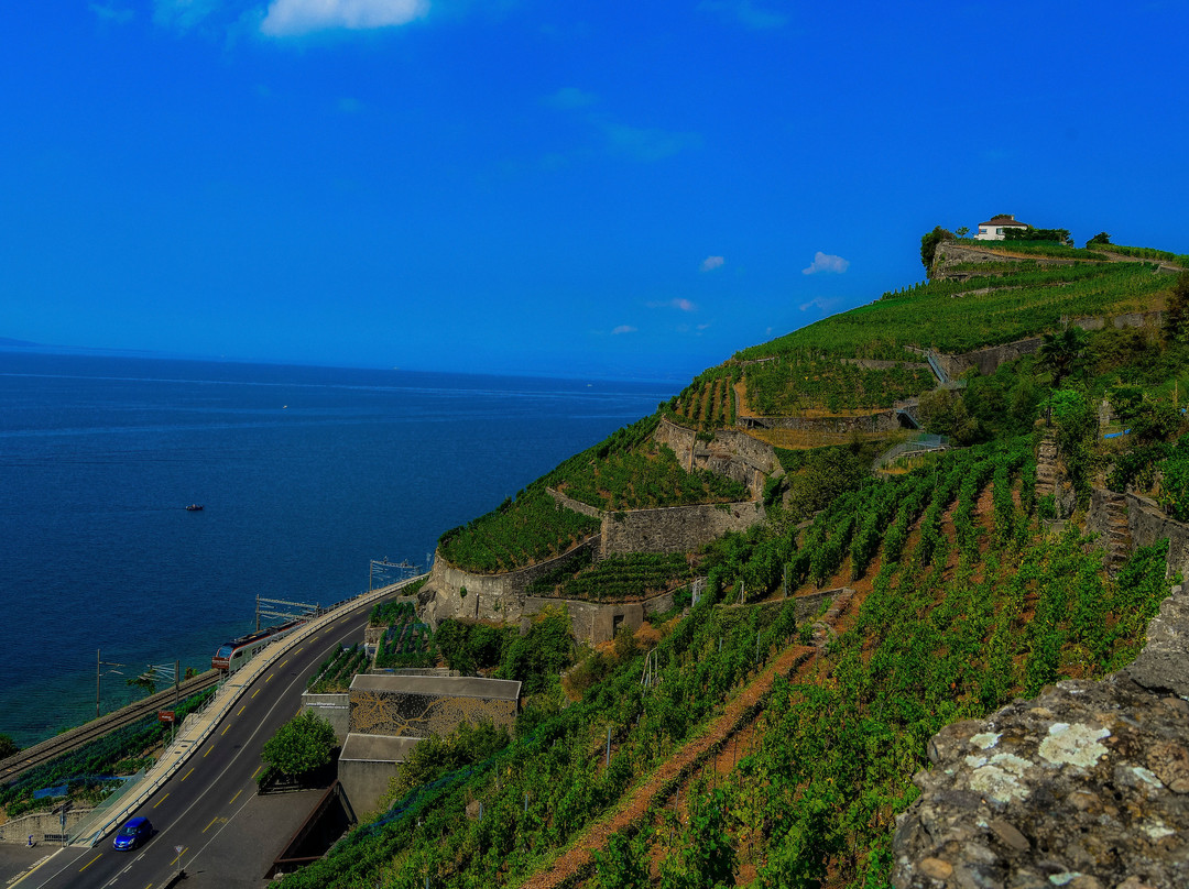 Lavaux Vineyard Terraces-居利必去景点