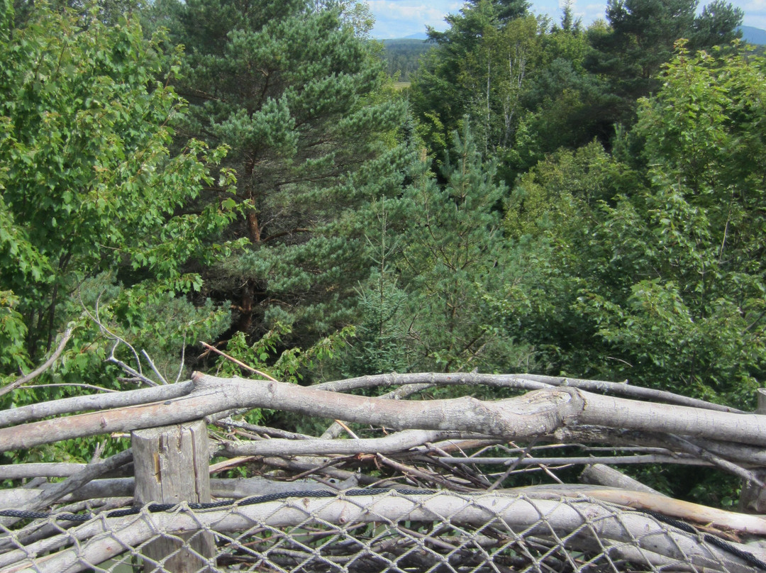The Wild Center-Tupper Lake必去景点