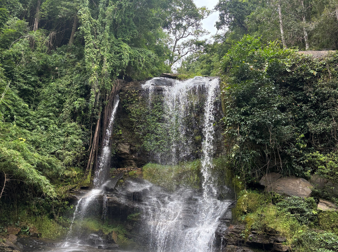 Elephant Sanctuary Care Park-清迈必去景点