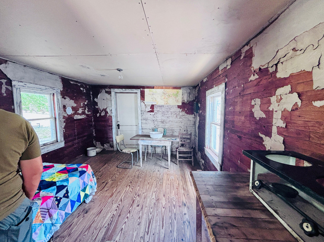 Tina Turner Museum  @ Flagg Grove School-Brownsville必去景点