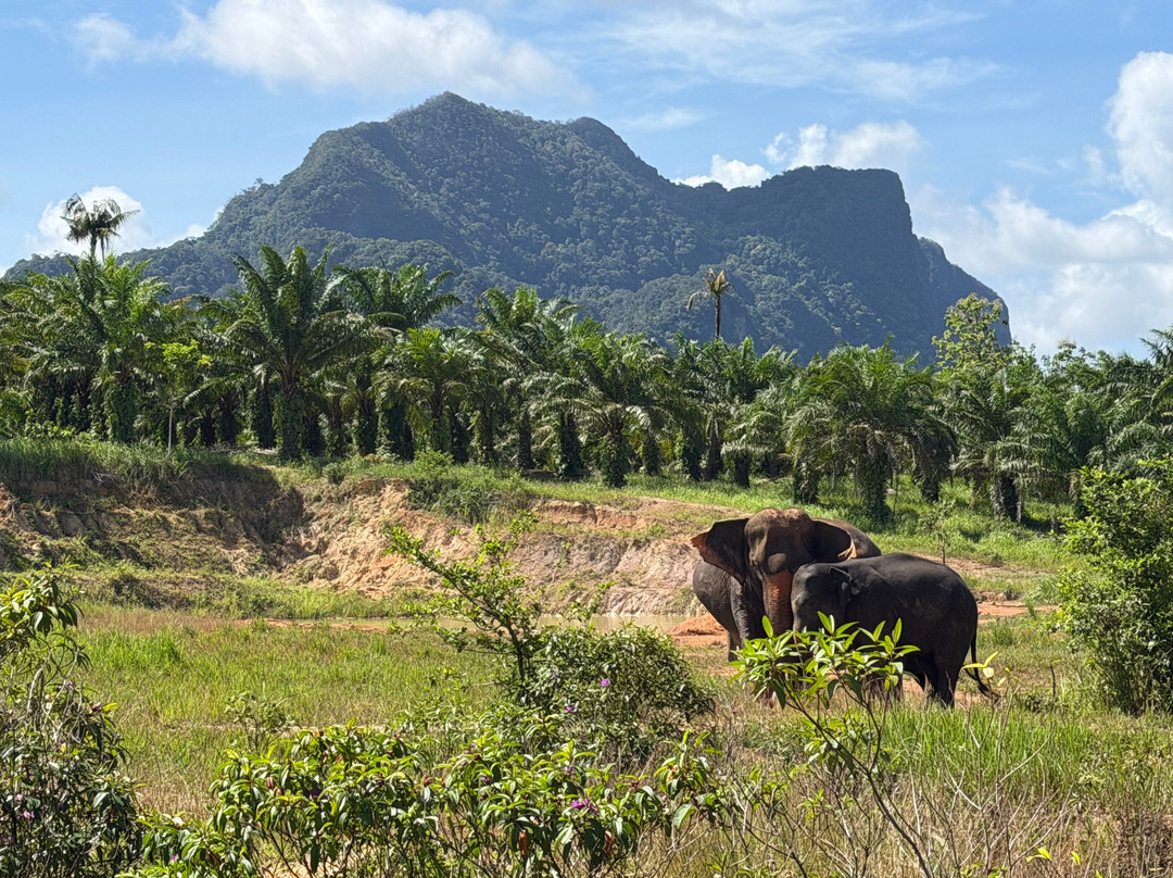 Following Giants - Krabi-Khlong Hin必去景点