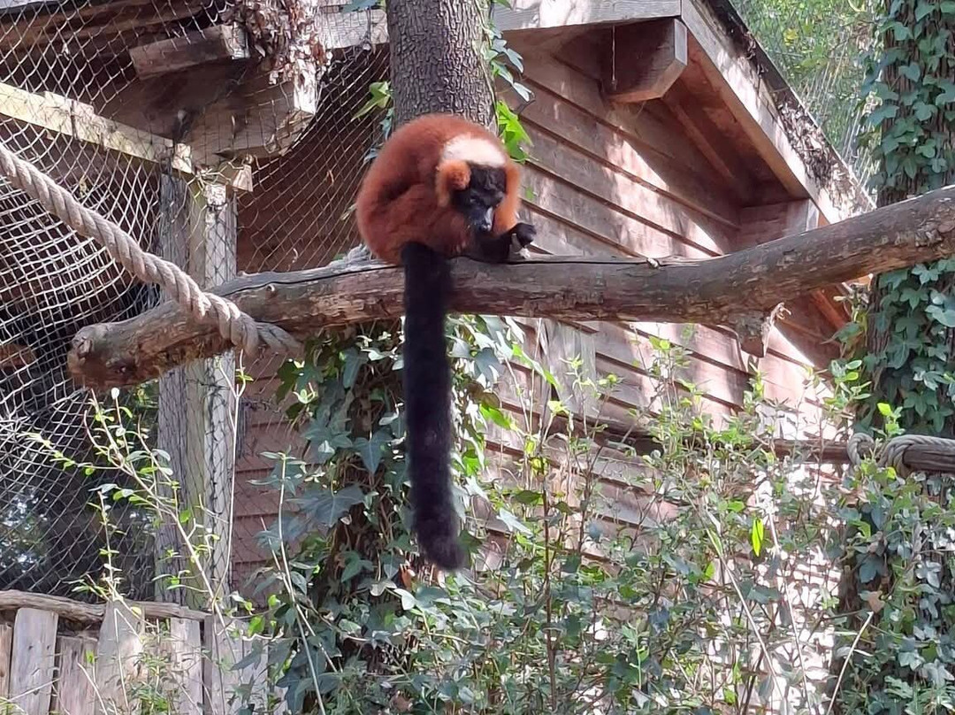 Réserve Zoologique De Calviac-Calviac-en-Perigord必去景点
