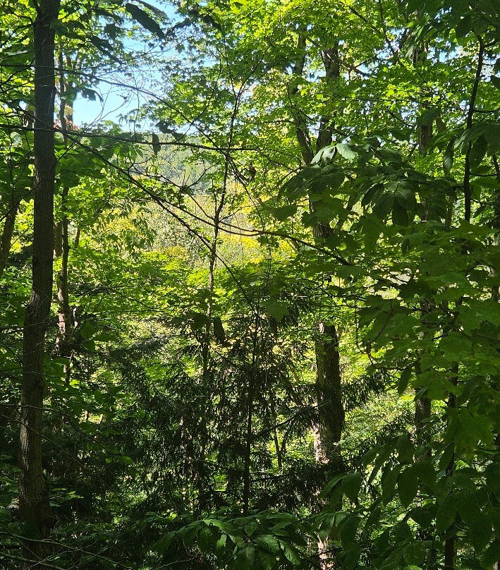 Chautauqua Gorge State Forest-Mayville必去景点
