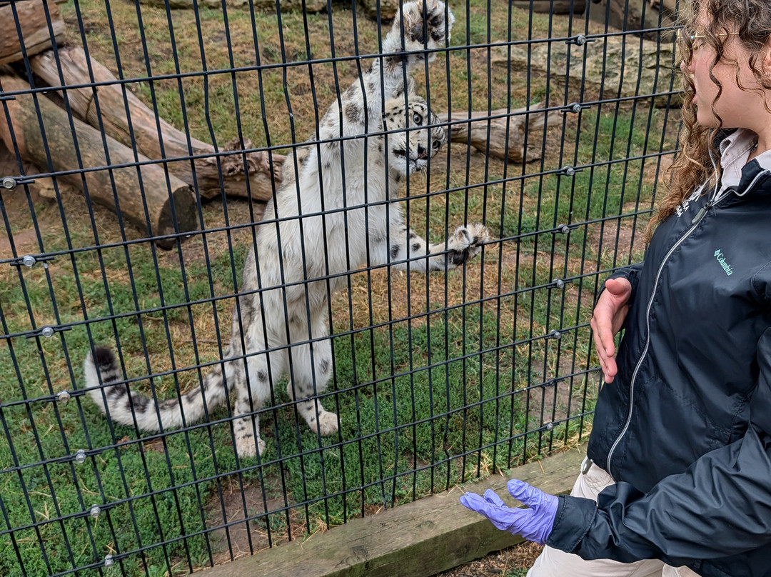 Tanganyika Wildlife Park-Goddard必去景点