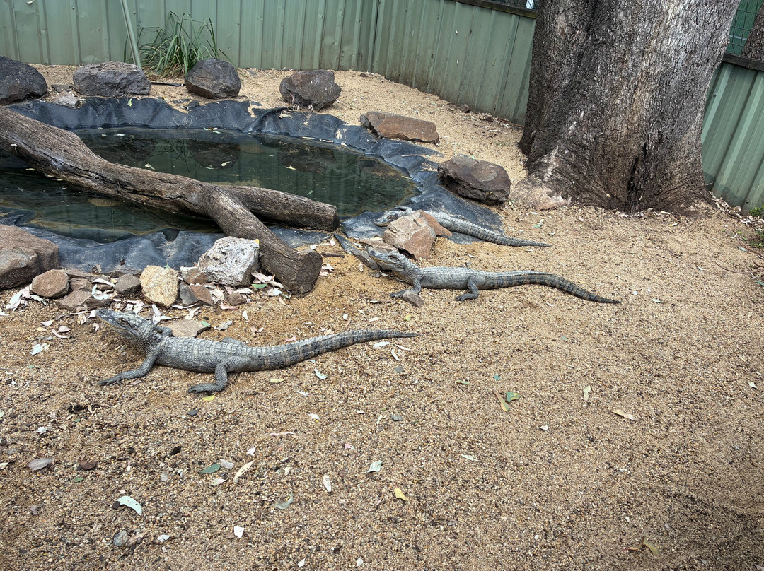 Darling Downs Zoo-Gatton必去景点