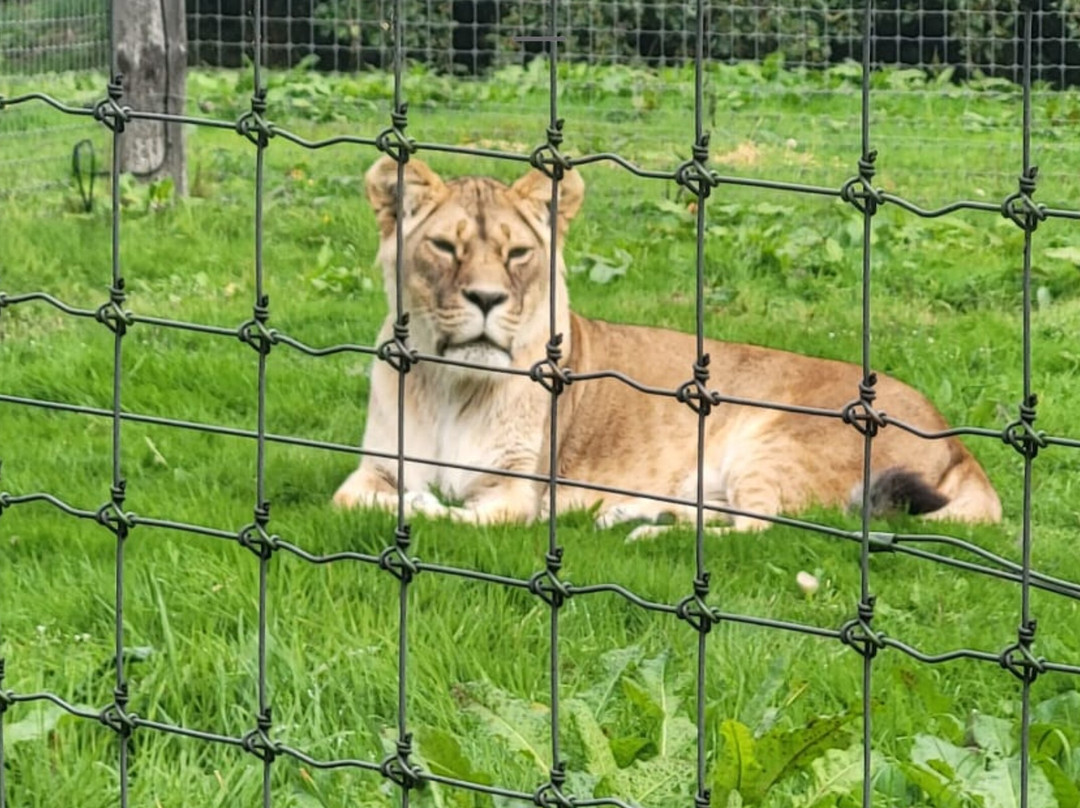 Five Sisters Zoo-West Calder必去景点