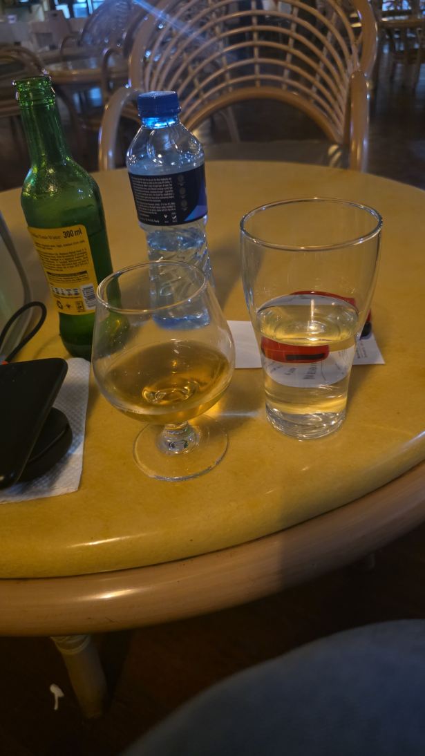 蓝宝石酒店-旅行者