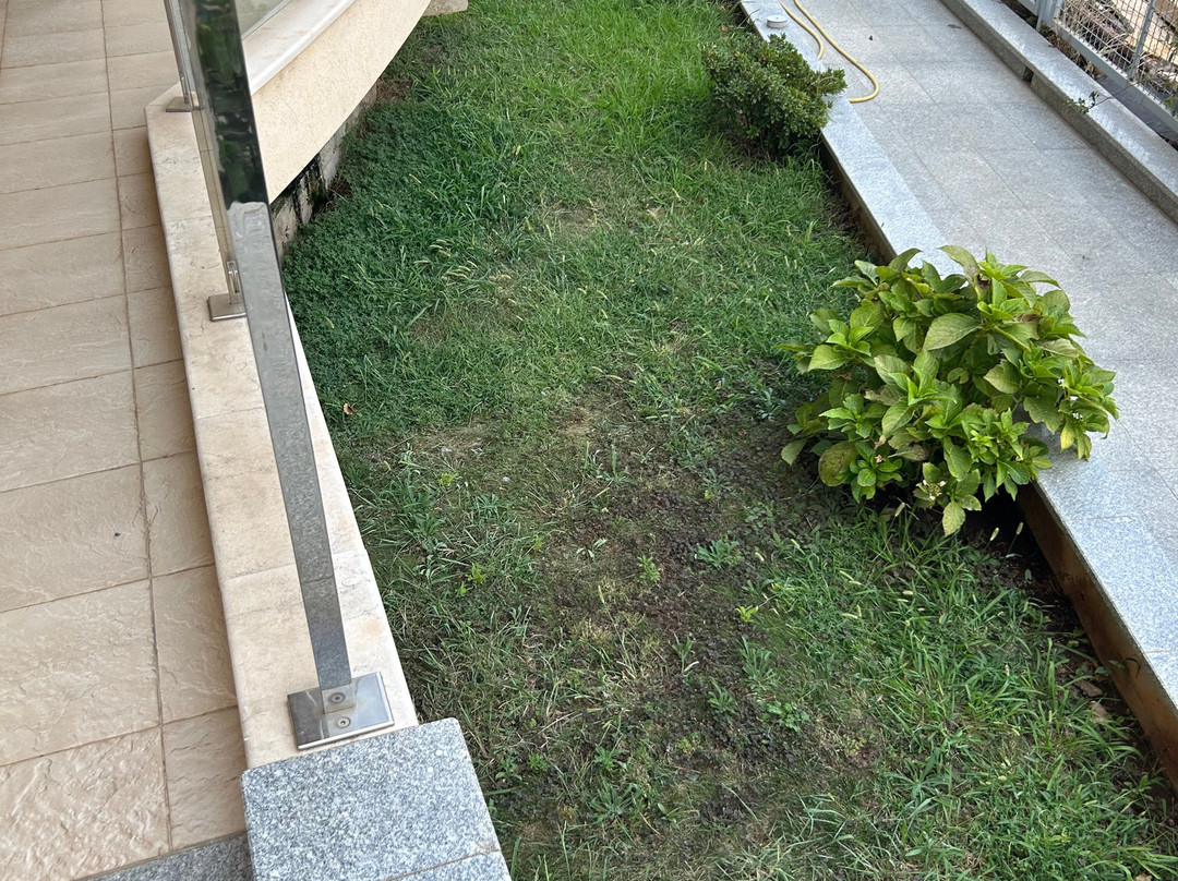 ApartHotel Belvedere Residence Becici Budva主图