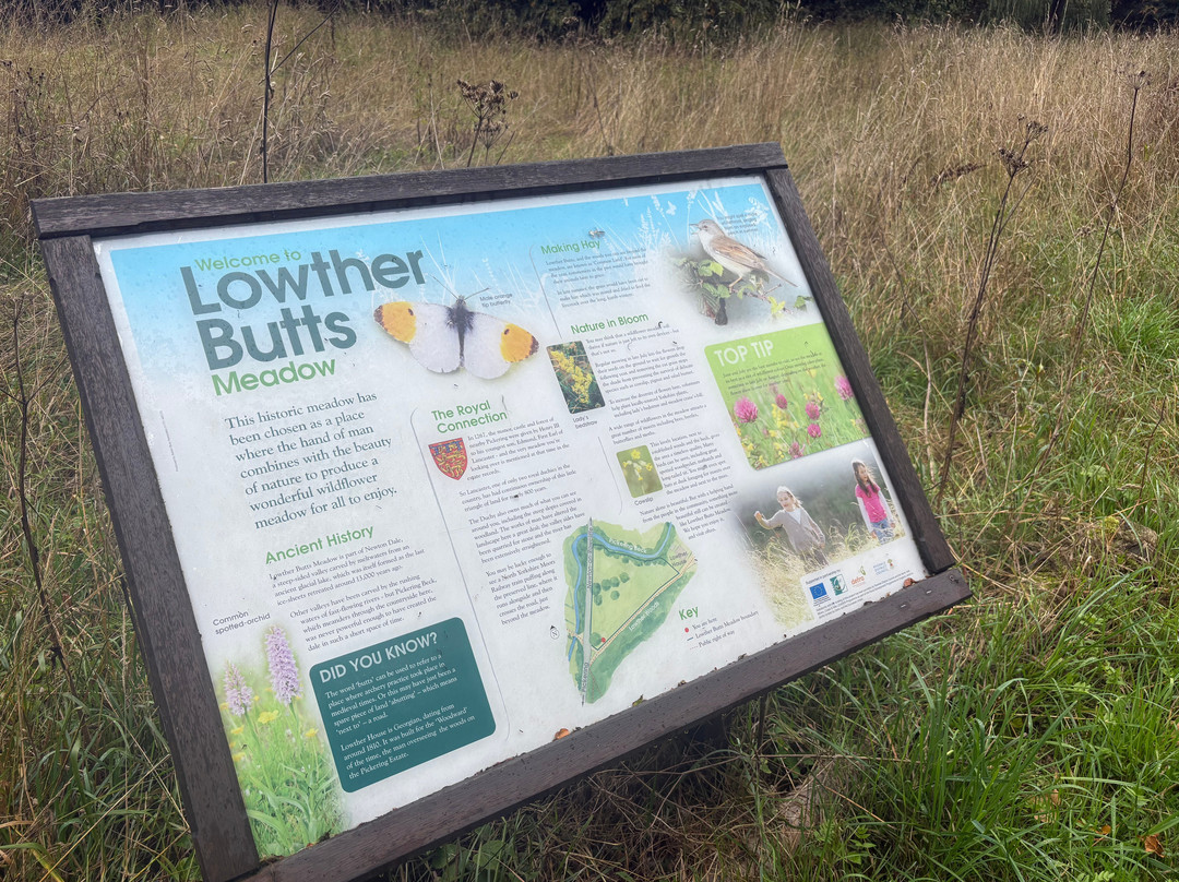 Lowther Butts Meadow