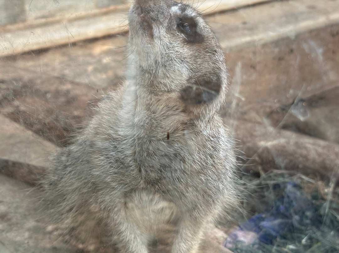 Monarto Safari Park-Monarto必去景点