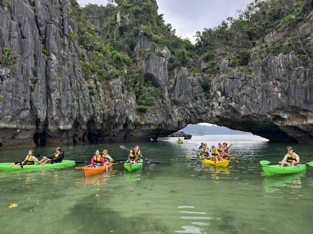 Hoa Cuong Cave-Gia Luan必去景点