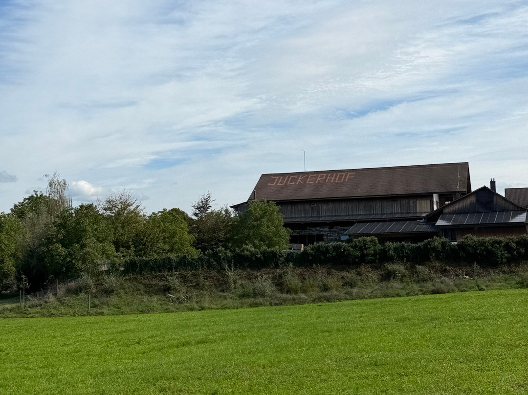 Juckerhof Erlebnisbauernhof-Seegraeben必去景点