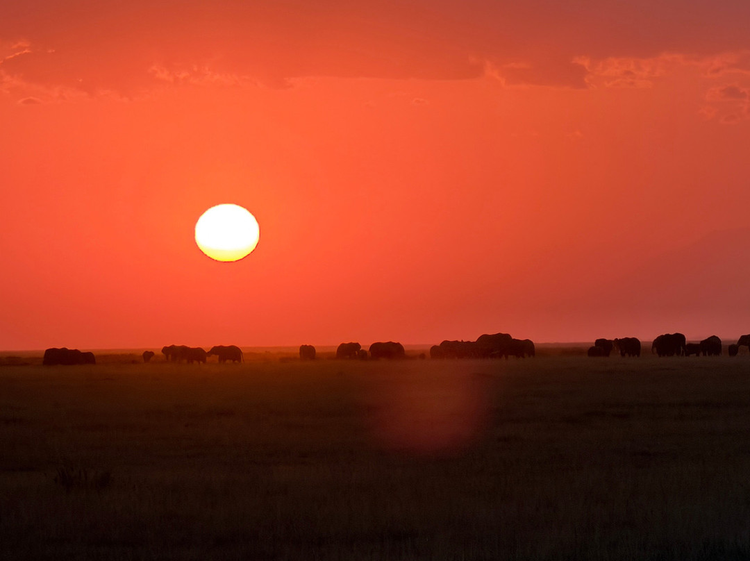 Cherish Africa Safaris-Kikuyu必去景点