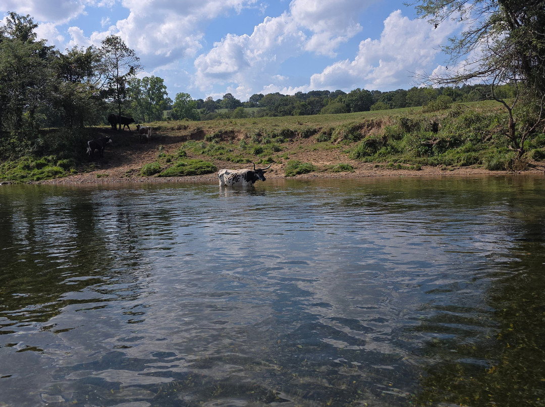 Cotter Trout Dock Guided Trout Fishing Tours-Cotter必去景点