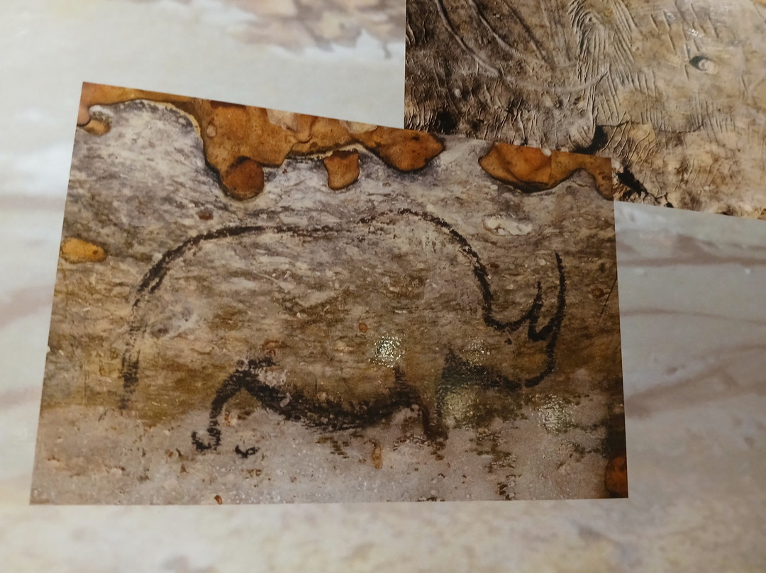 Rouffignac Cave-Rouffignac-Saint-Cernin-de-Reilhac必去景点