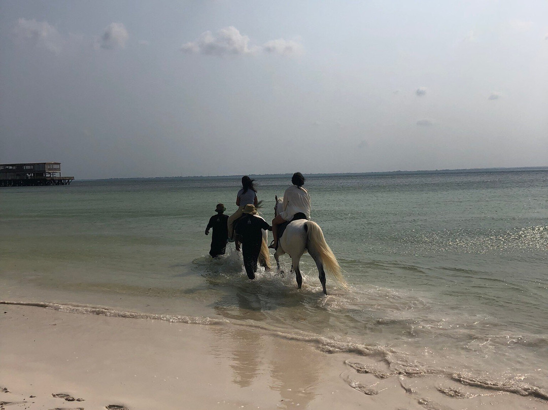 科诺科诺沙滩度假村主图
