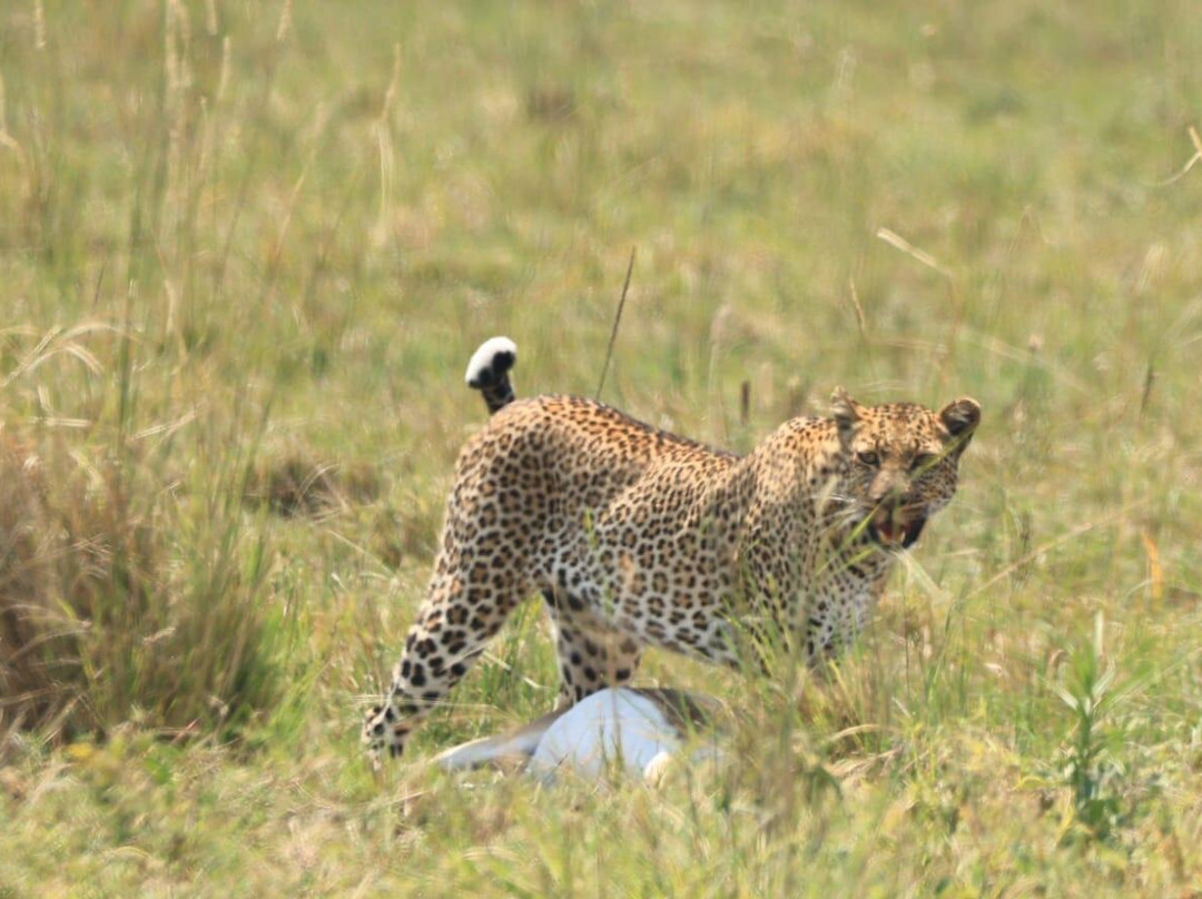 Thrills and Wonders Safaris-Sakina必去景点