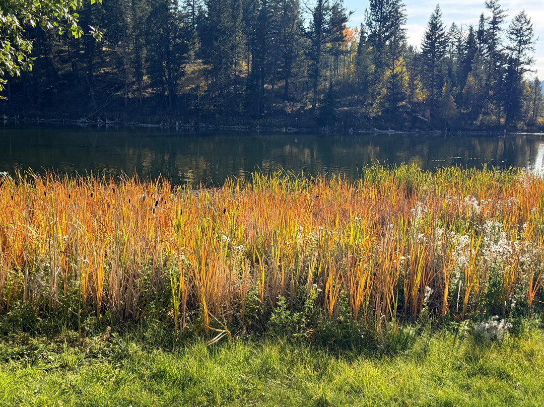 District of Logan Lake Campground and Visitor Centre-Logan Lake必去景点
