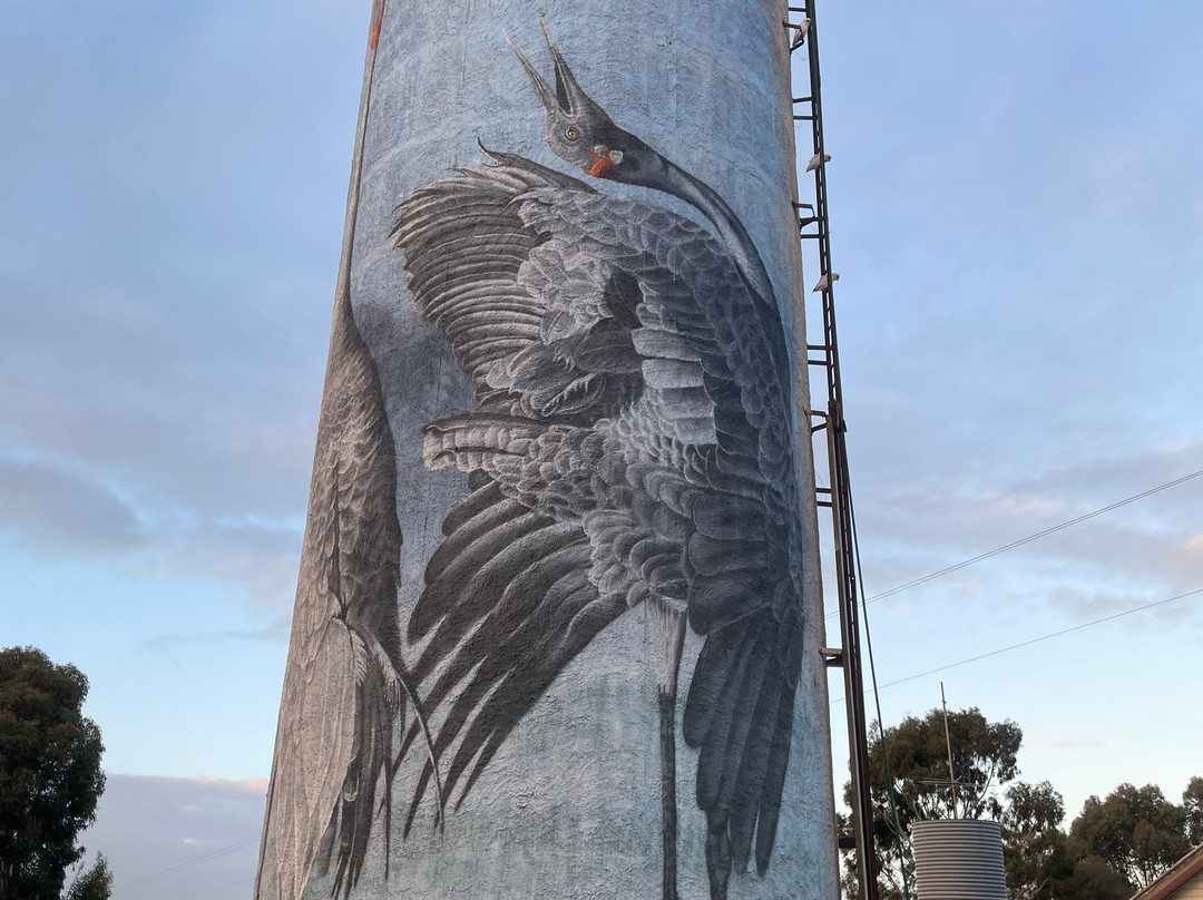 Lismore Water Tower Art-Lismore必去景点