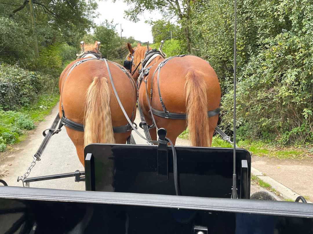 Middle Week Horse Drawn Farm-Ash Mill必去景点