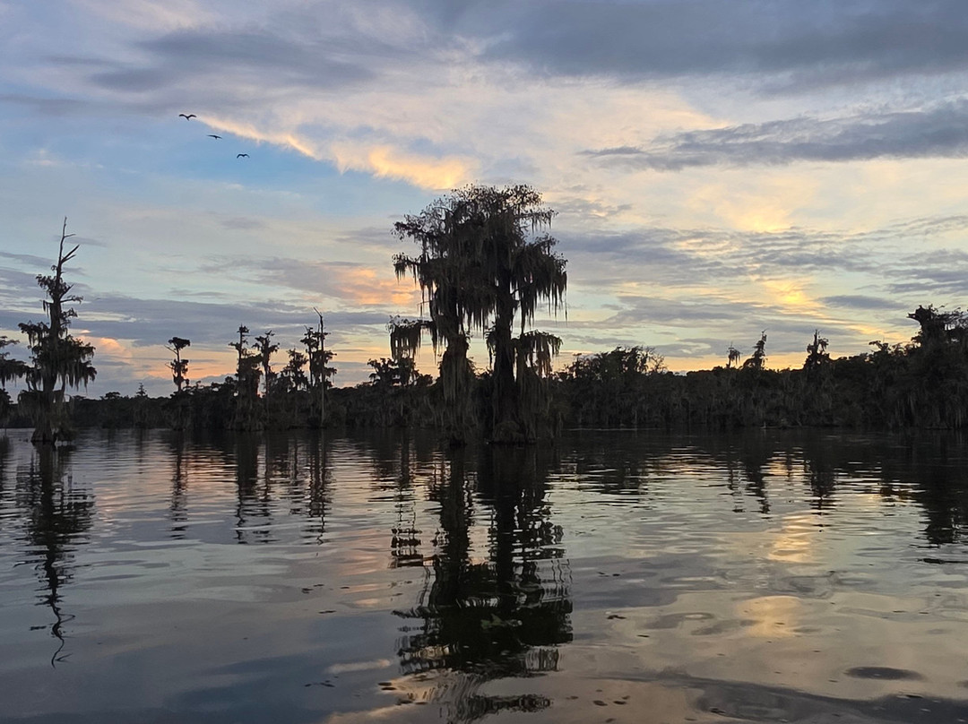 Cajun Country Swamp Tours-布里奥克斯桥必去景点