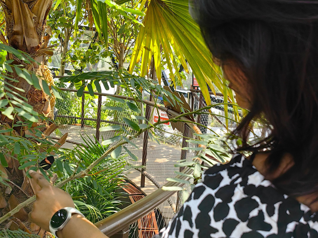 The Butterfly Gardens Abu Dhabi-阿布扎比必去景点