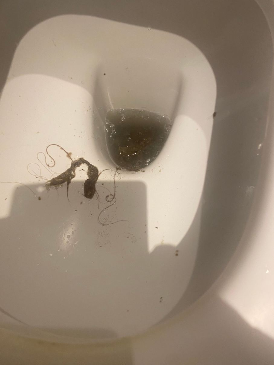 埃克斯茅斯海滨普瑞米尔酒店-旅行者