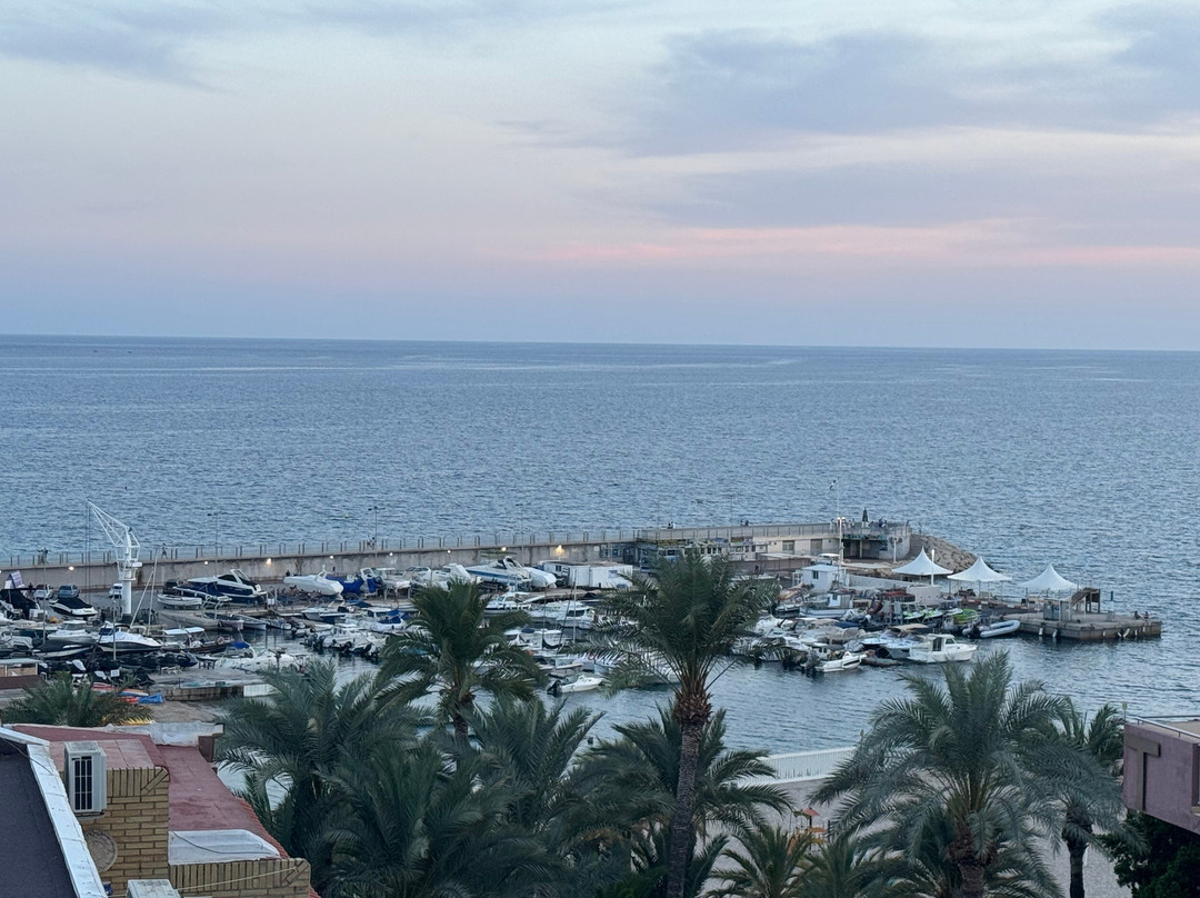 沃拉马尔酒店主图
