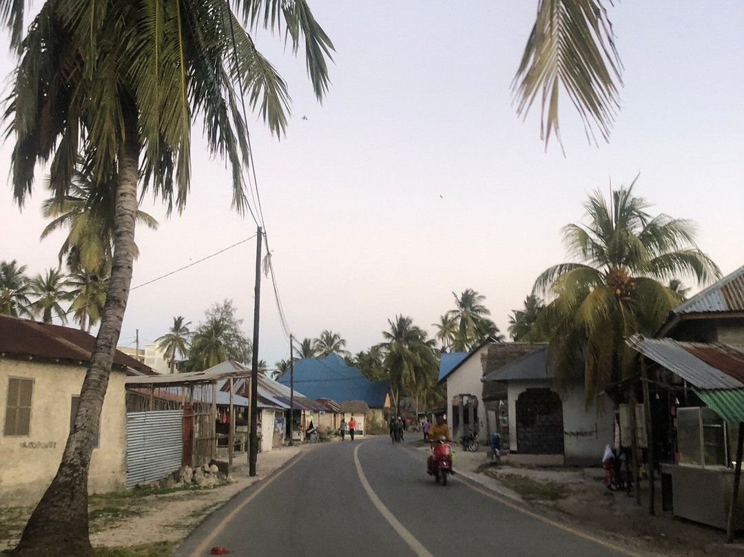 Jambiani Beach-江比阿尼必去景点